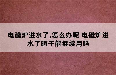 电磁炉进水了,怎么办呢 电磁炉进水了晒干能继续用吗